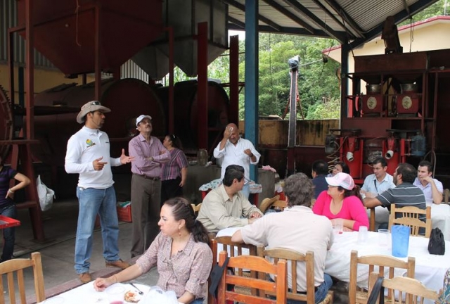 Experiencia del cafe